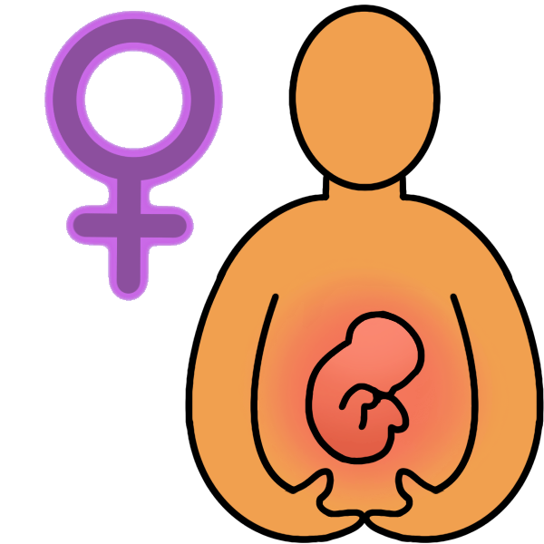 a person cradling her belly, which has a fetus symbol over it. There is a purple female symbol by her.